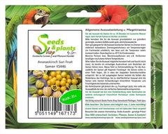 Stk - 35X Ananaskirsch Sunfruit - Samen Beere Physalis Pruinosa Obst KS446 -