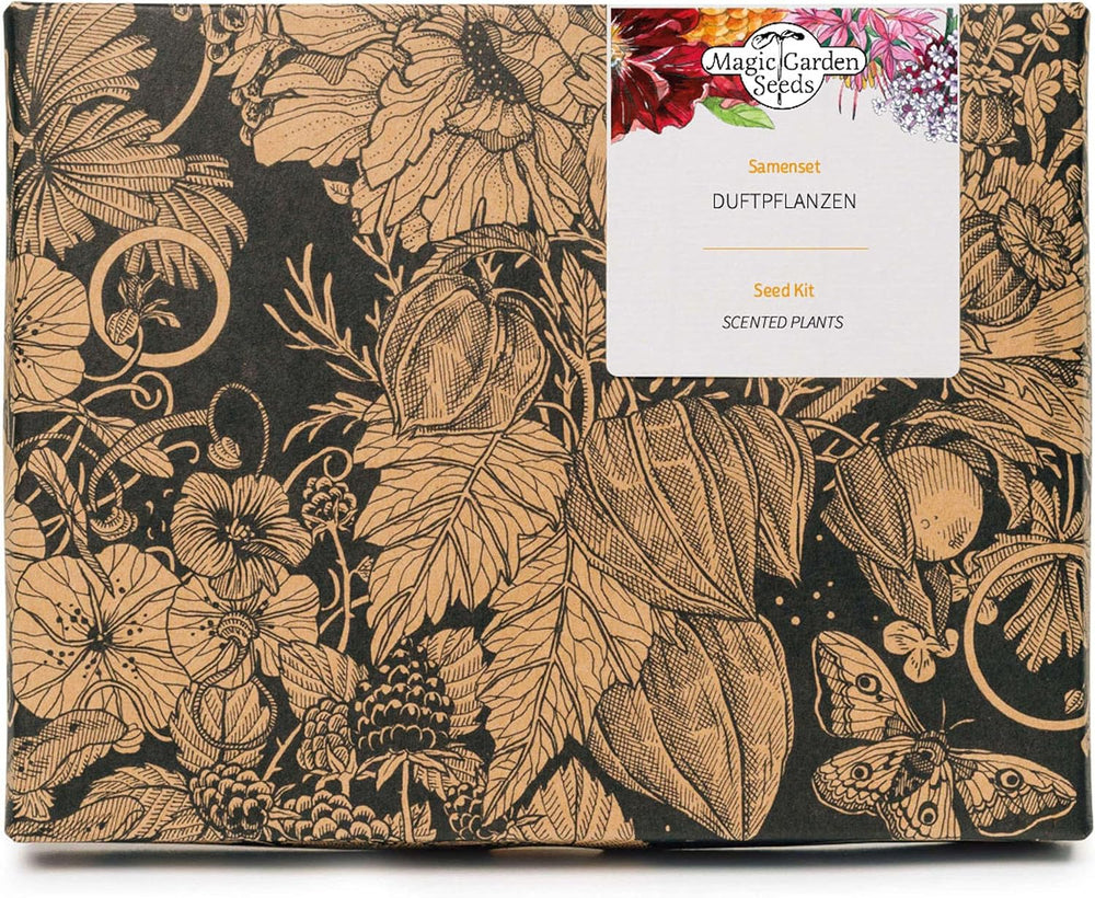 Plante parfumate - set cadou cu semințe și 6 plante cu flori frumos parfumate