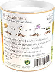 Semințe de gălbenele Chrestensen Colorful Mix - Semințe cu polenizare liberă 30g pentru aprox. 25m² - Shaker pentru copii de grădină