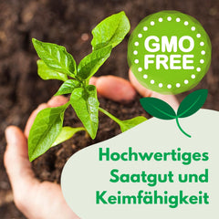 Semințe Cosmos Sensation Mix 1g, Mix Cosmos Flori de vară, Plante de grădină Plante de balcon, Semințe de flori