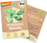 Semințe de castraveți mini mexicani organici, 10 semințe de castraveți gustare, rată mare de germinare, certificate Demeter și polenizate deschis | Semințe de legume de la LOVEPLANTS, pentru balcon, grădină, strat înălțat – Soiuri de legume Heirloom