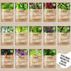 BIO Salat Samen Set - 14 Sorten Salatsamen Aus Biologischem Anbau I Samenfestes Salat Saatgut I Bio Salat Set Für Balkon, Garten Und Hochbeet I 14Er Saatgut Gemüse Inkl. Gemüsesamen Alte Sorten