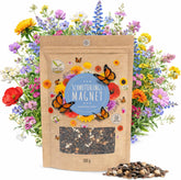 100g Semințe de fluturi pentru o pajiște cu flori colorate - Amestec de semințe de flori sălbatice colorate și bogate în nectar pentru fluturi