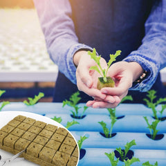 28 cuburi de lână Rockwool, Set de lână Rockwool, Covoraș de creștere Rockwool, Covoraș de creștere hidroponică fără sol, Cub de lână Rockwool, Cuburi de lână Rockwool pentru butași, Clonare, Propagare 4 * 4 * 4cm