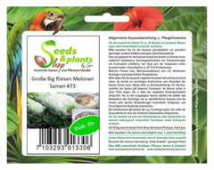 Stk - 10X Riesen Melonen Obst Pflanzen - Samen A73 -