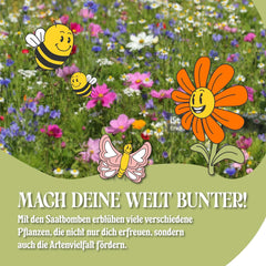 LouMaxx Set de bombe cu semințe lucrate manual 10x3, cadou cu bombă cu semințe, semințe de flori ca favoruri de petrecere, semințe sustenabile pentru cadouri de petrecere pentru copii, bile de plantare ecologice cu peste 50 de tipuri de semințe de flori