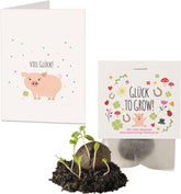 10x "Glück to grow" Samenbomben als Glücksbringer 2026 & Blumensamen Geschenk | Mitbringsel Erwachsene & kleine Gastgeschenke Silvester - Kleeblatt Glücksbringer Prüfung - inkl. Geschenkkarten Set