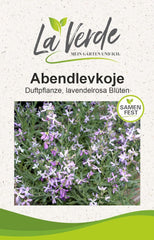 Semințe de flori de seară