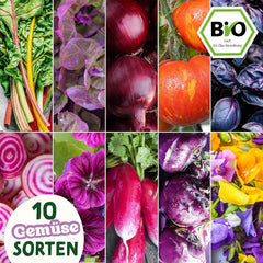 BIO Verrücktes Gemüse Samen Set I Saatgut Set Mit Besonderen Gemüsesamen I Züchte Buntes Gemüse I Mini Pflanzset I Crazy Veg I Gemüse Samen Set I Garten Anzuchtset Gemüsesamen Geschenk