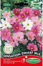 Coș de bijuterii, multicolor, EC1515