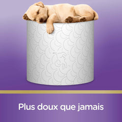 Hârtie igienică capitonată (12 pachete a câte 7 role) - moale și confortabilă - ecologică - durabilă