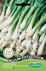 Schnittlauch, Mehrfarbig, EC1123