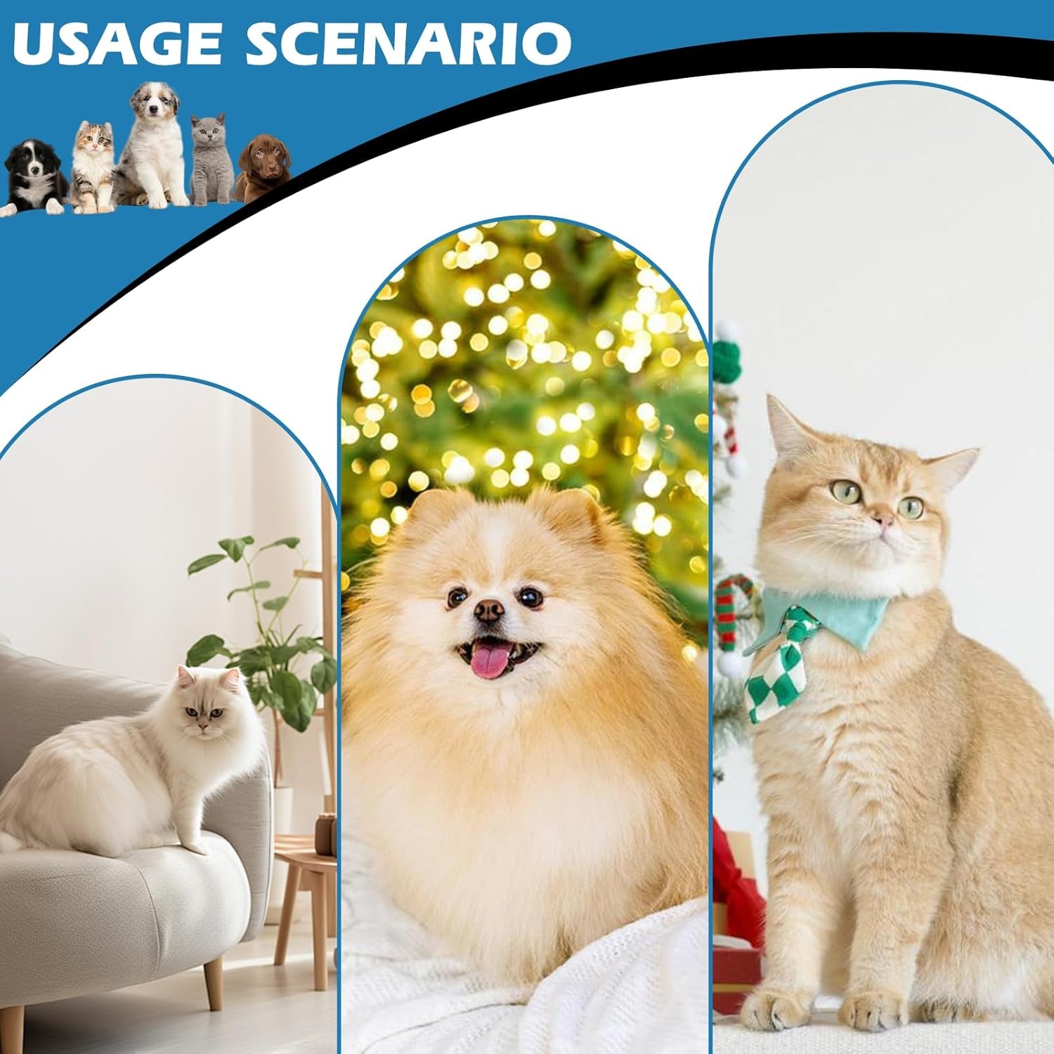 Căsuță pentru pisici în aer liber, peșteră pliabilă pentru pisici, pat pentru pisici rezistent la intemperii, casă pentru pisici în aer liber, pentru animale de companie mici (36 * 26 * 14CM, negru)