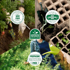 Set de semințe de flori Nojus – 10 varietăți de semințe de flori – Semințe de flori de balcon – Semințe de plante colorate – 10 pachete – Semințe de flori sălbatice – Pliculețe cu semințe de flori – Cadou ideal cu semințe de flori