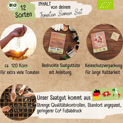Set de semințe de roșii mini organice: 12 soiuri de roșii cultivate liber | Semințe de roșii cu roșii cocktail rare și de familie, cherry și beefsteak | Semințe de legume pentru balcon, pat înălțat, grădină și cadou | Loveplants
