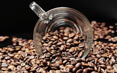 Kaffeespezialität Aus Mittelamerika Honduras Kaffee - Eine Spezialität der Karibik (200 Gramm, Ganze Bohne) - Länderkaffee - Spitzenkaffee - Säurearm - Schonend Und Frisch Geröstet