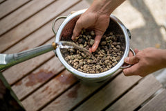 Floragard Green Jungle Mix 6 L – substrat mineral pentru plantare Monstera, Philodendron – asigură un drenaj optim și o creștere sănătoasă a rădăcinilor – ideal pentru plantele de apartament exigente