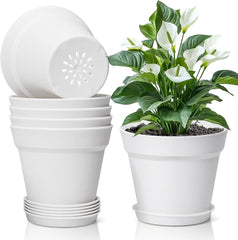 T4U Ghiveci de flori din plastic de 16 cm cu farfurie, set de 6 ghivece din plastic pentru plante aromatice cu găuri multiple de drenaj, ghiveci rotund pentru plante suculente de interior și balcon, cactuși, alb