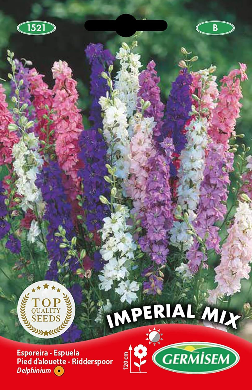 Sommer-Rittersporn EC1521 mehrfarbig