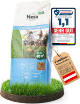 Hesa Gebrauchsrasen 1 Kg Für 40 M², RSM 2.3, Schnellkeimende Premium Rasensamen Sport- Und Spielrasen, Grassamen Strapazierfähig Und Robust in Profiqualität