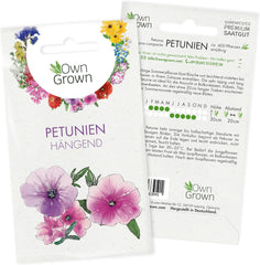 Semințe de Petunie: Semințe de petunie premium pentru aproximativ 400 de plante de petunie – Semințe frumoase de petunie pentru plante de balcon și grădină – Semințe de flori – Semințe de petunie cu flori rampante – Flori pentru balcoane OwnGrown