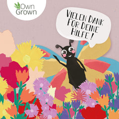 Amestec de flori Butterfly Meeting: 100g semințe premium de flori fluture - Semințe de albine prietenoase cu insectele, semințe de flori perene și anuale pentru pajiști - Semințe de flori sălbatice de la OwnGrown