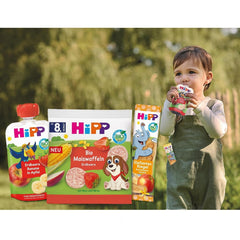 HiPP Mini Inimi de Ovăz Căpșuni-Zmeură (12 x 40g), de la 1 an, baton-snack organic în formă de inimă, cu conținut ridicat de cereale și fibre, îndulcit doar din fructe, de cea mai bună calitate organică