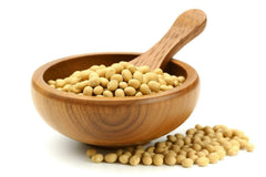 Soia galbenă specială pentru tofu 5 kg organică