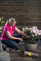 Granule de argilă expandată Floragard 50 L – material natural de drenaj și substrat hidroponic pentru ghivece, căzi, plante de apartament și jardiniere – previne acumularea de apă, asigură o bună aerare