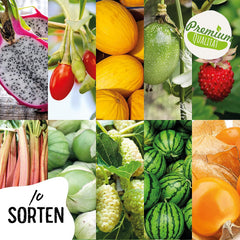 Obst Samen-Set I 10 Sorten Obstsamen I Premium Obst-Saatgut I Pflanzen Kit Inkl. - Erdbeersamen, Melonensamen, Physalis, Drachenfrucht I Pflanzen Saat I Ideales Samen-Set Geschenk