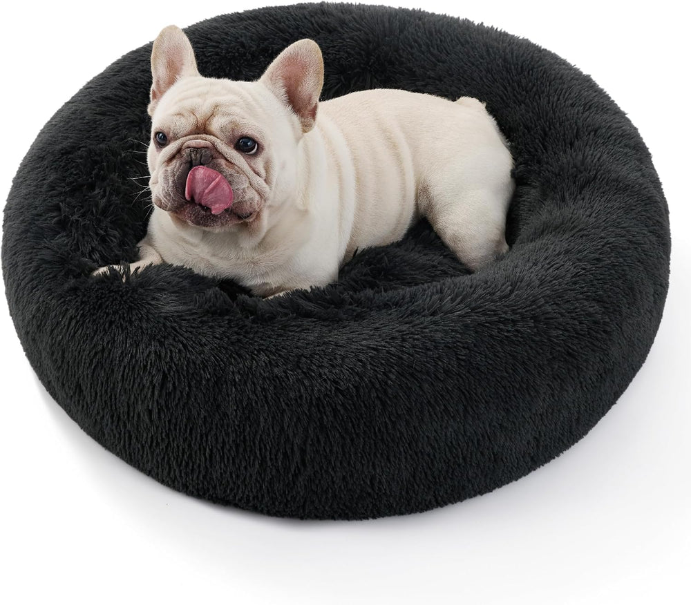 Paturi & Canapele, Pături & Mobilier, Animale de companie, Pisici, Paturi pentru pisici, Pisici - culcusuri, saltele