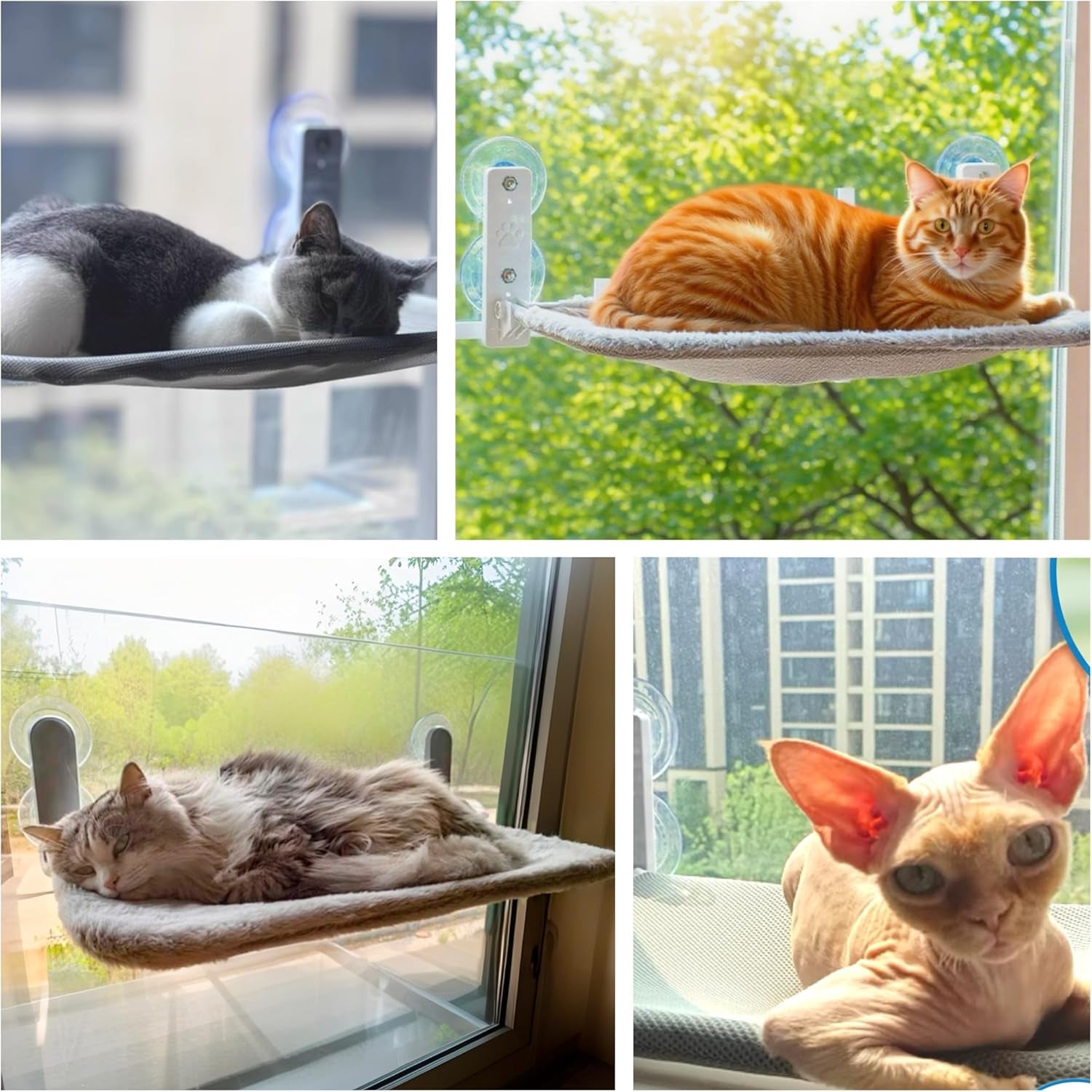 Șezlong Bnbnpup pentru pisici, pat pentru pisici, hamac pentru fereastră cu ventuze puternice până la 18 kg - husă detașabilă și reversibilă, pliabilă și stabilă (gri, L)
