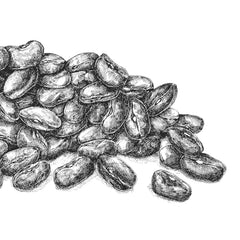 BioGourmet Linte Beluga Demeter, 250g