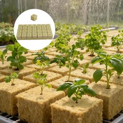 100 cuburi din vată de rocă pentru înmulțire, 25x25x25 mm, cu mănuși, izolație din vată de rocă, cuburi de înmulțire Easy Plug, cuburi din vată de rocă pentru hidroponie, butași, înmulțire fără sol
