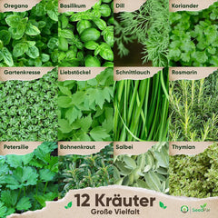 Kräutersamen Set - 12 Beliebtesten Küchenkräuter - Kräuter der Provence, italienische Kräuter - Kräutergarten für Küche oder Balkon - Samen Saatgut - Gartenkräuter Sorten