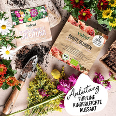 Set de semințe de flori organice | 12 varietăți de semințe de flori | Semințe de flori premium | Set de semințe de plante cu semințe de flori sălbatice | Semințe de flori | Semințe de flori pentru balcon | Cadou ideal cu semințe de flori