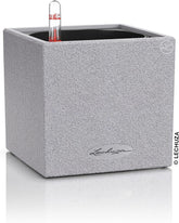 Cub de plante aromatice de înaltă calitate LECHUZA CANTO Stone 14 cu sistem de udare cu bețișor, gri piatră