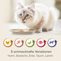 BEAPHAR – Nierendiät Mix Pack – Diätalleinfuttermittel Für Katzen Mit Chronischer Niereninsuffizienz – Zur Unterstützung Der Nierenfunktion – 6X 100 g