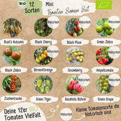 Set de semințe de roșii mini organice: 12 soiuri de roșii cultivate liber | Semințe de roșii cu roșii cocktail rare și de familie, cherry și beefsteak | Semințe de legume pentru balcon, pat înălțat, grădină și cadou | Loveplants
