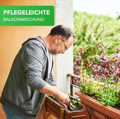 Mix pentru cutii de balcon Magic of Nature - Semințe de 10 g - Plante prietenoase cu albinele - Ușor de utilizat - Paradisul albinelor - 5 specii cultivate native - Potrivit pentru cutii de flori și jardiniere