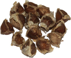 Moringa - Moringa oleifera - 100 de semințe *Numit și arbore de hrean*