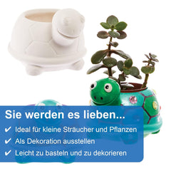 Ghivece ceramice Baker Ross FX594 Turtle - Pachet de 2, Pictează-ți propriul ghiveci