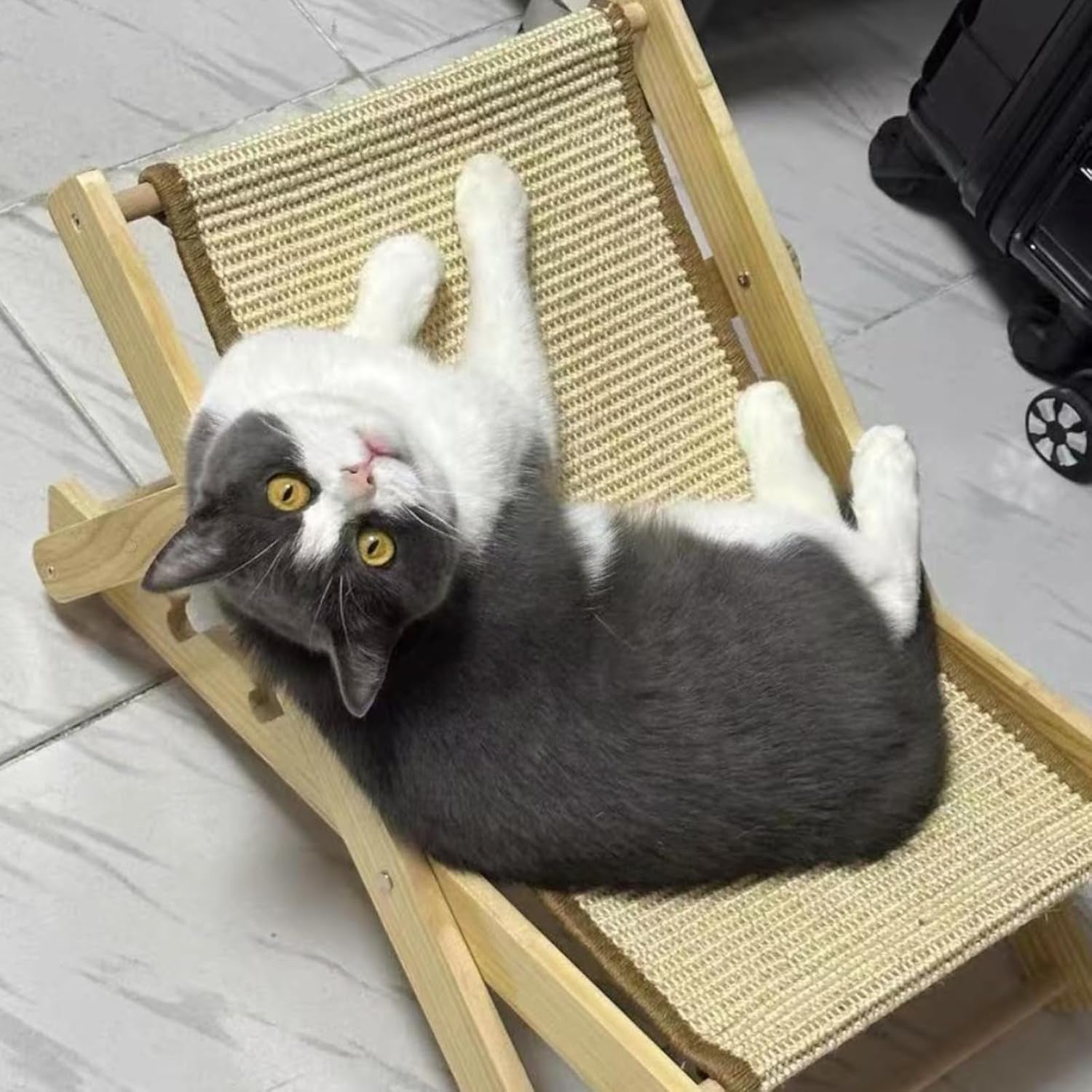 Pat reglabil pentru pisici, șezlong pentru pisici din sisal, pat pentru pisici din sisal, hamac pliabil pentru pisici, șezlong pentru pisici cu o capacitate de încărcare de 10 kg, reglabil pe 4 niveluri, pentru câini de talie mică, pisici, animale mici