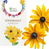 Semințe de Echinacea: Semințe de Echinacea galbene premium pentru aproximativ 20 de plante de Echinacea cu înflorire – Semințe de Rudbeckia – Rudbeckia rezistentă – Plante perene de Echinacea – Plante perene rezistente de la OwnGrown