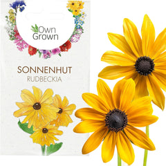 Semințe de Echinacea: Semințe de Echinacea galbene premium pentru aproximativ 20 de plante de Echinacea cu înflorire – Semințe de Rudbeckia – Rudbeckia rezistentă – Plante perene de Echinacea – Plante perene rezistente de la OwnGrown
