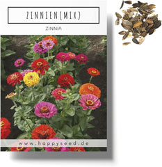 Amestec de semințe de Zinnia (Zinnia) - Flori de vară colorate pentru stratul de grădină, balcon, terasă și ca flori tăiate în vaze