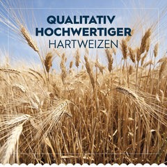 Barilla Pasta Klassische Spaghetti n.5 aus hochwertigem Hartweizen immer al dente, (1 x 500 g), geschmacklos