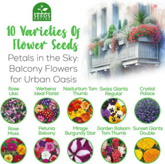 Set de semințe de flori Nojus – 10 varietăți de semințe de flori – Semințe de flori de balcon – Semințe de plante colorate – 10 pachete – Semințe de flori sălbatice – Pliculețe cu semințe de flori – Cadou ideal cu semințe de flori