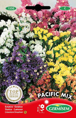 Statice, multicolor, EC1550