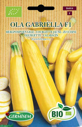 Zucchini OLA GABRIELLA, ECBIO4016